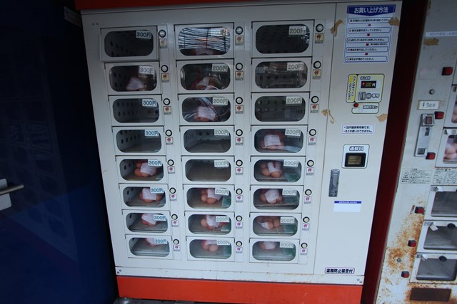 南生田のタマゴ自動販売機