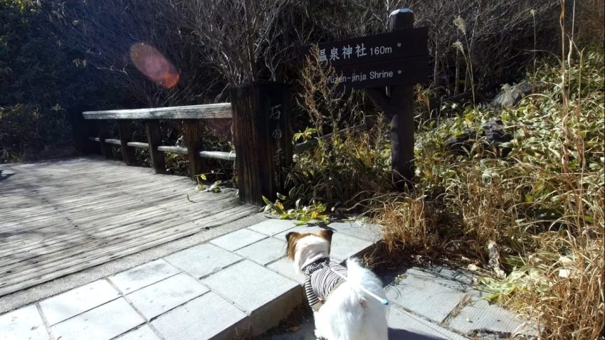 温泉神社　案内