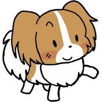 パピヨン　吉宗