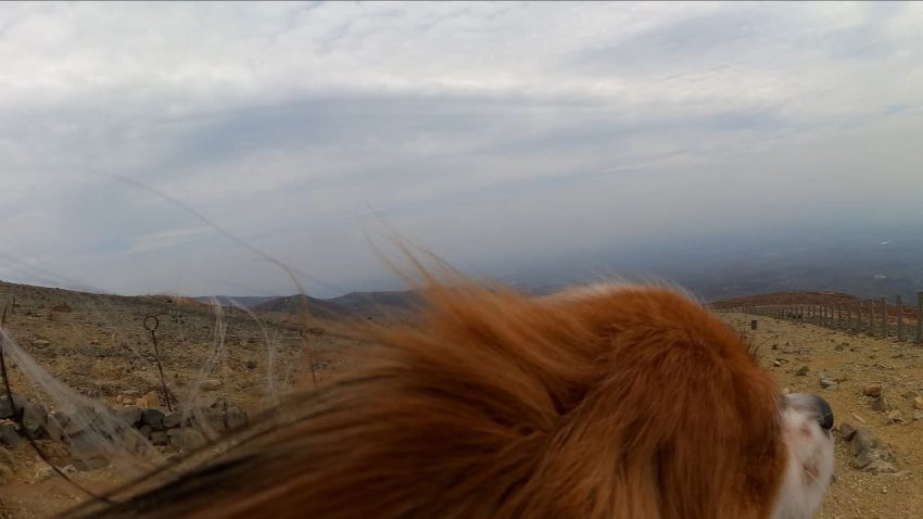 登山吉宗